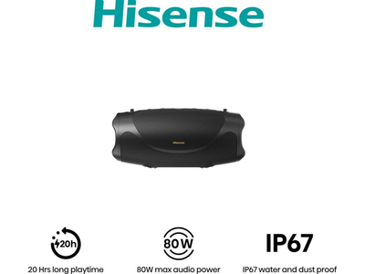 Hisense FLEX BOOM - Altavoz